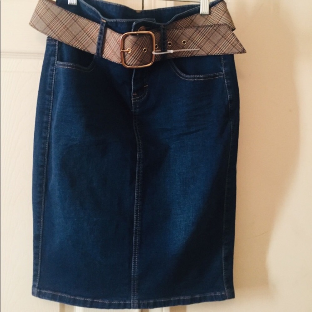 Stylish Denim Skirt - Picture 2 of 4